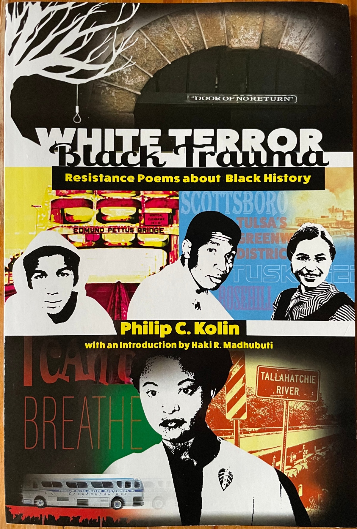 “Poems for a Deadly Troubled Time” Philip C. Kolin’s White Terror / Black Trauma: Resistance Poems about Black History